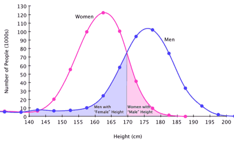 graph to compare heights and gender